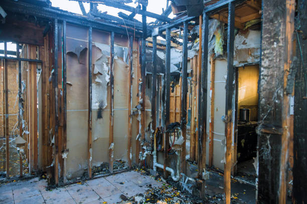 Professional Fire Damage Removal technician working in Rector, AR